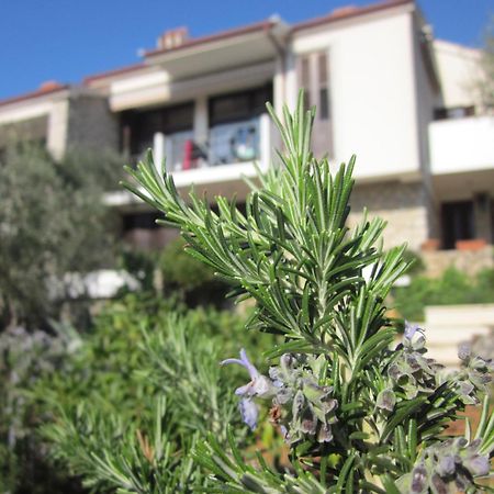 Apartments Palma & Pino ツレス エクステリア 写真