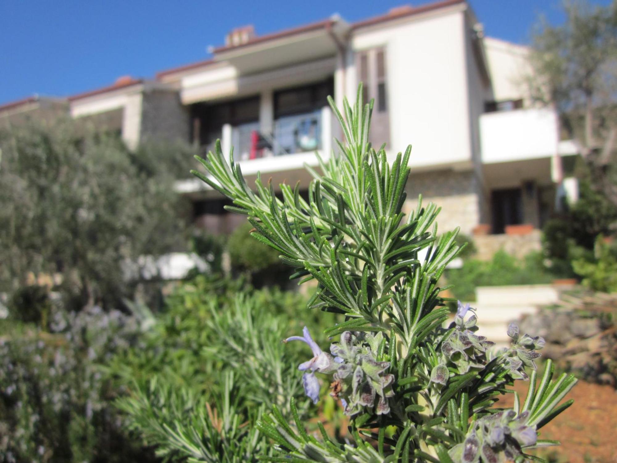 Apartments Palma & Pino ツレス エクステリア 写真