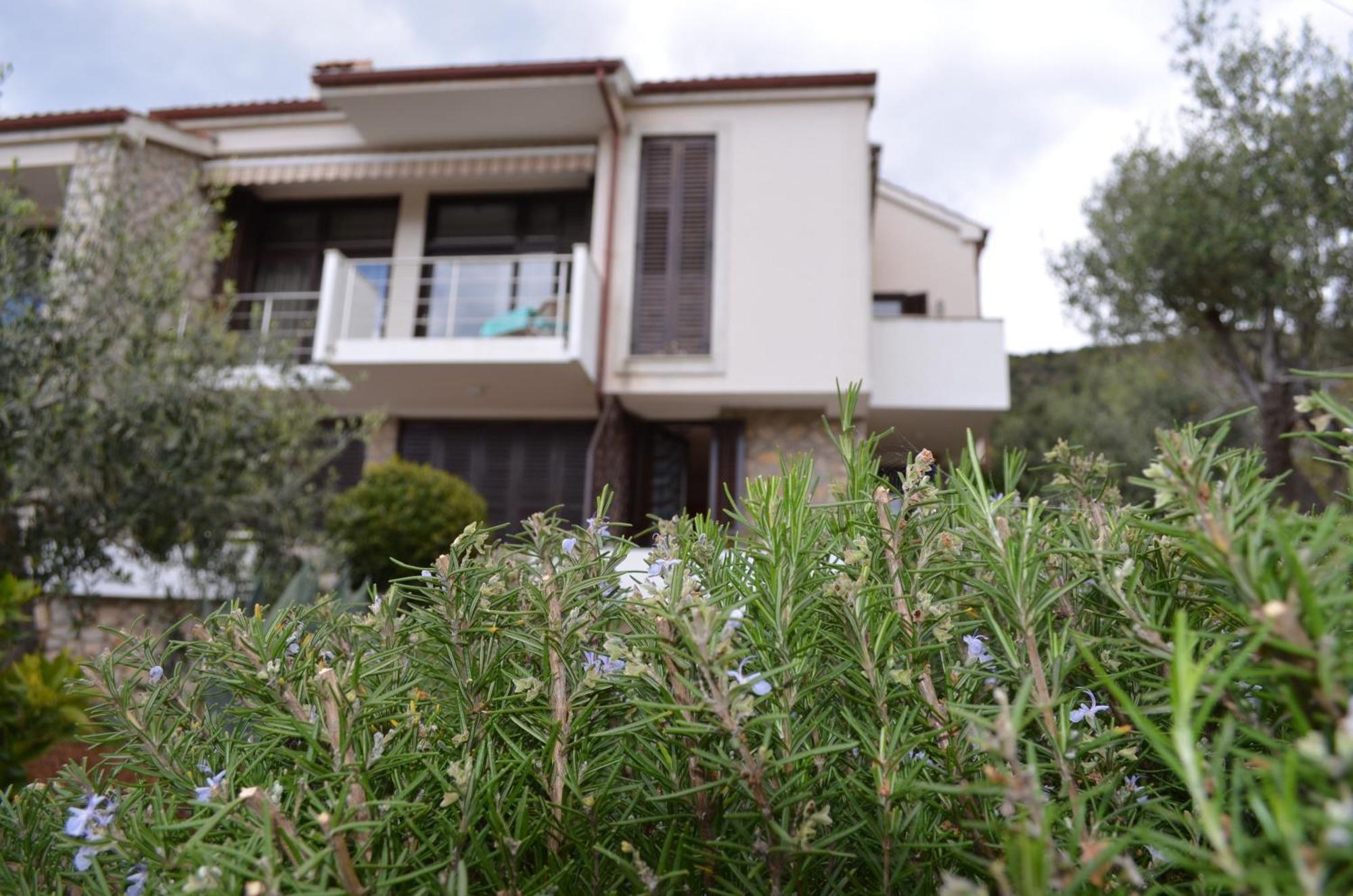 Apartments Palma & Pino ツレス エクステリア 写真